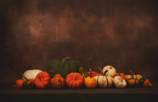 istock Thanksgiving and fall background with a collection of miniature pumpkins. Space for text. 1790114962