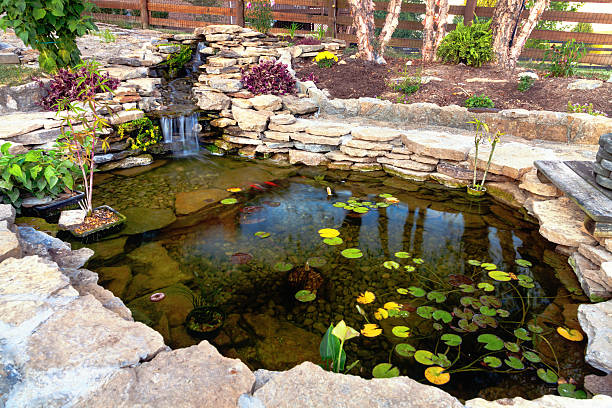 Close-up of pond with green leaves inside Decorative koi pond in a garden aquatic organism stock pictures, royalty-free photos & images