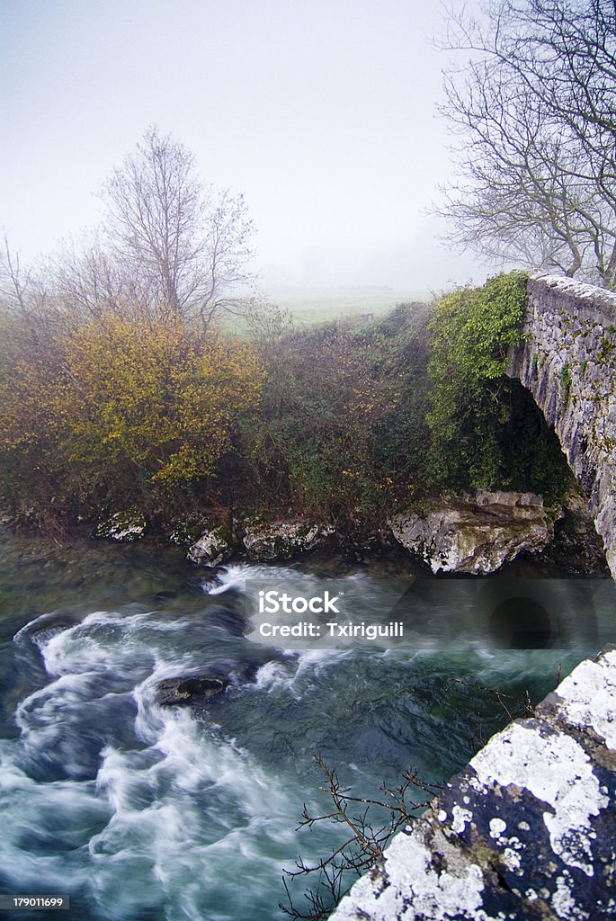 River Ason. Zweige der Sieg. Kantabrien. Spanien. - Lizenzfrei Brücke Stock-Foto