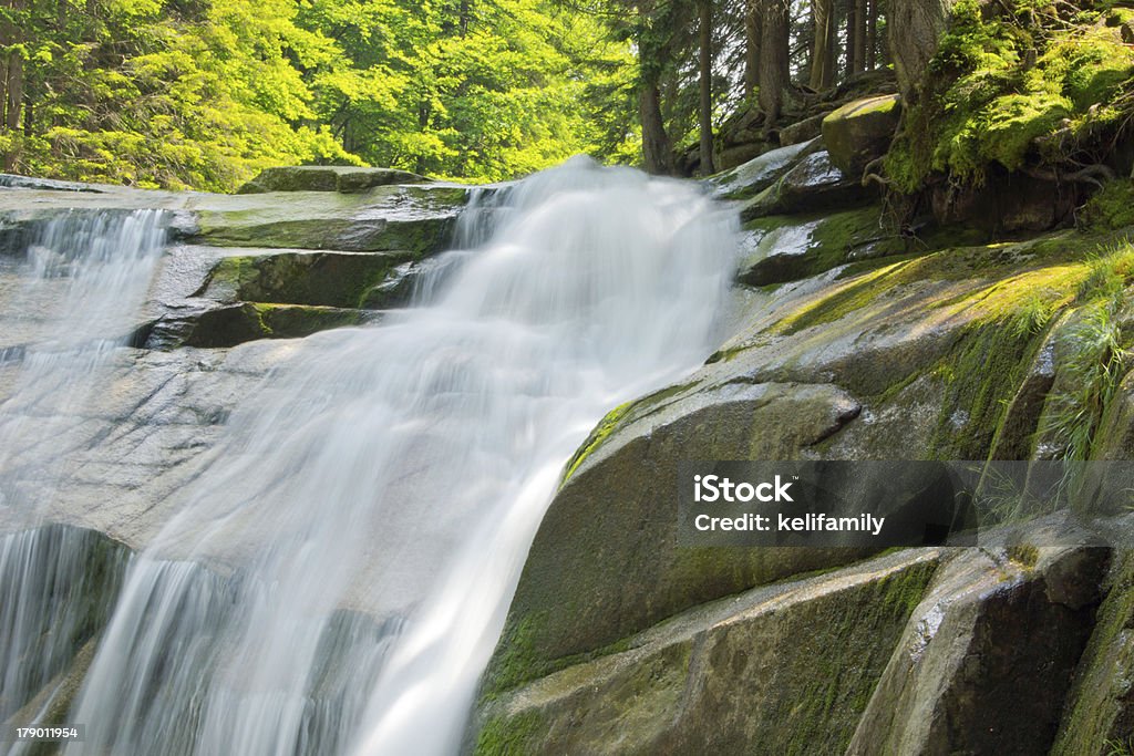 Wasserfall in Harrachov - Lizenzfrei Baum Stock-Foto