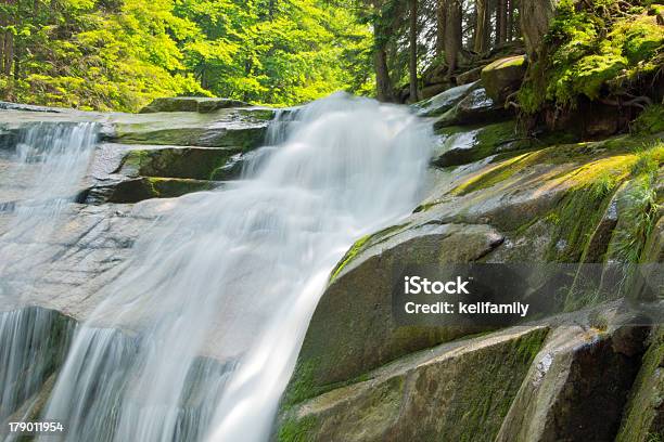 Wasserfall In Harrachov Stockfoto und mehr Bilder von Baum - Baum, Extreme Nahaufnahme, Fels