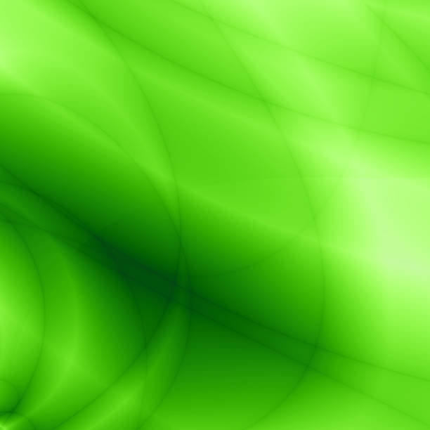 istock Nature bright curve green design 179012035