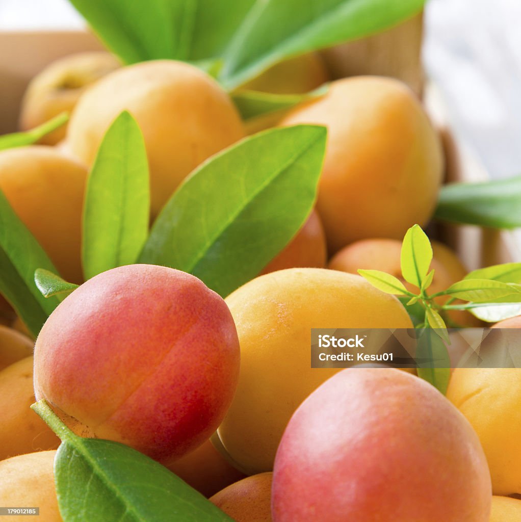 Frische Aprikosen - Lizenzfrei Abnehmen Stock-Foto