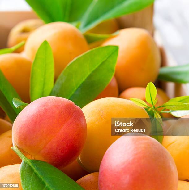 Frische Aprikosen Stockfoto und mehr Bilder von Abnehmen - Abnehmen, Aprikose, Blatt - Pflanzenbestandteile