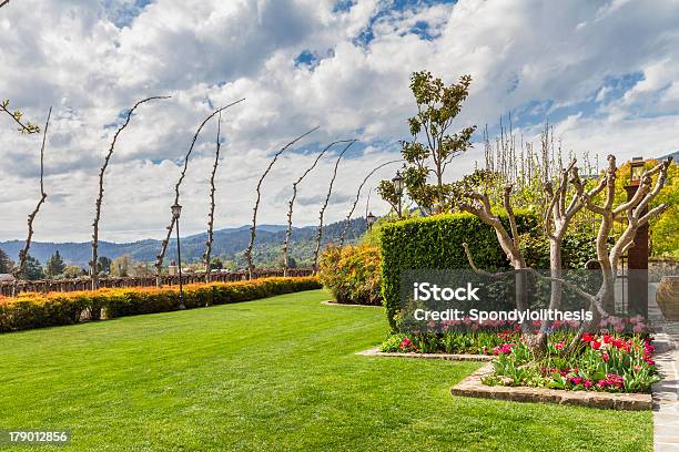 Foto de Napa Primavera Paisagem e mais fotos de stock de Amarelo - Amarelo, Azul, Califórnia