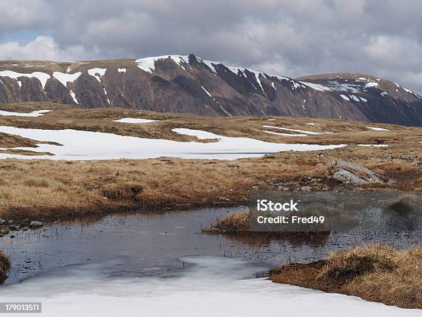 Cairngorms Plateau Südlich Von Braeriach Schottland Im Frühling Stockfoto und mehr Bilder von Anhöhe