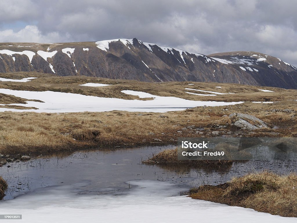 Плато Cairngorms Юг Braeriach, Шотландия в Спринг - Стоковые фото Без людей роялти-фри