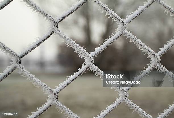 Draht Zaun Mit Hoarfrost Stockfoto und mehr Bilder von Abstrakt - Abstrakt, Begrenzung, Eingefroren