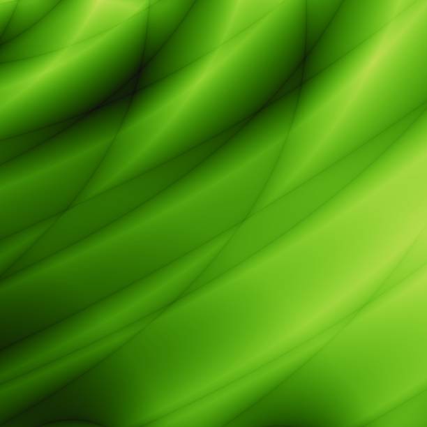 istock Jungle green nature curve design 179014461