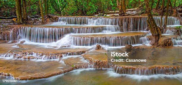 滝の深いレインフォレストのジャングル - コケのストックフォトや画像を多数ご用意 - コケ, タイ王国, リラクゼーション