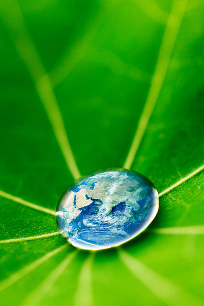istock The world in a drop of water 179015080