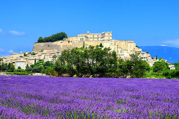 istock lavender field and old town of Grignan 179015155