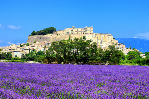 lavender field and old town of Grignan, France