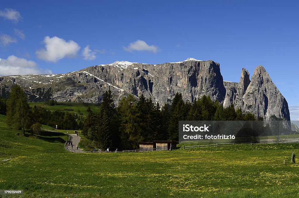 Itália, South Tyrol - Royalty-free Alpe di Siusi Foto de stock