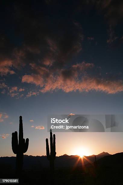 Phoenix Pôr Do Sol - Fotografias de stock e mais imagens de Arizona - Arizona, Cato, Deserto