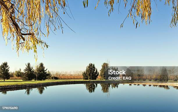 Photo libre de droit de Lac Et Les Vignobles banque d'images et plus d'images libres de droit de Agriculture - Agriculture, Arbre, Argentine