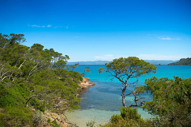 istock Idyllic beach, paradisiac southern landscape 179015822