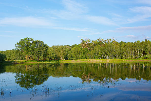istock View of the Polish lake 179015843