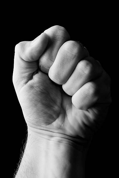 istock The fist 179016535