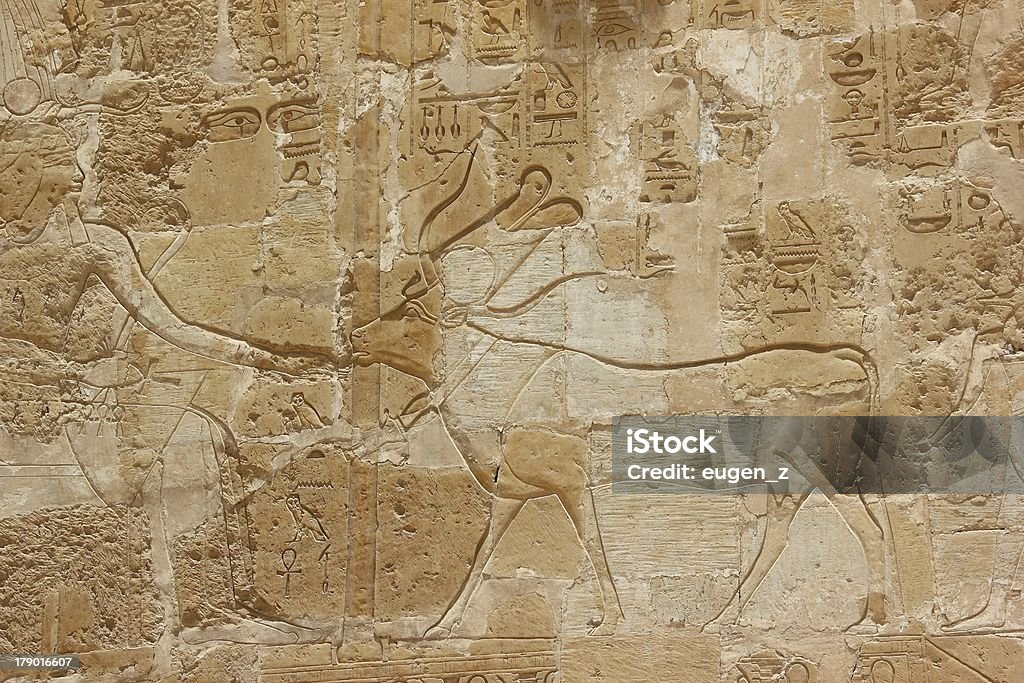 Bas-relief at the Temple of Hatshepsut. Bas-relief at the Mortuary Temple of Hatshepsut in Luxor (Thebes), Egypt. Temple of Hatshepsut Stock Photo