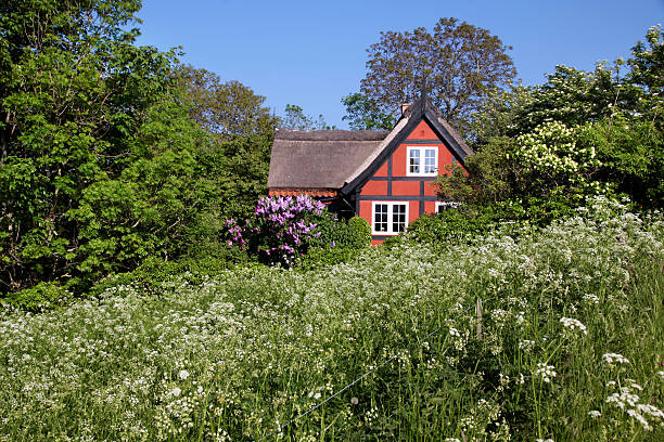 Latinerkvarteret Aarhus Denmark, historic red half timbered houses with typical Scandinavian colors under summer blue sky