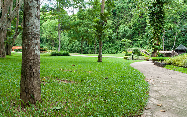istock Phu Sang National Park. 179017759