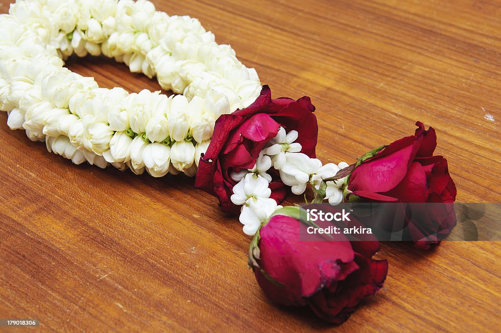 Girlanda z kwiatów jaśminu - Zbiór zdjęć royalty-free (Aksamitka)