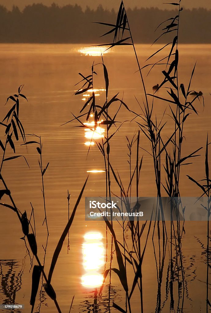 Восход солнца на озеро - Стоковые фото Аир роялти-фри