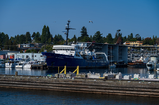 Seattle WA, USA - September 22, 2023:  Boat traffic along the Ballard Waterway from Puget Sound to Lake Union.