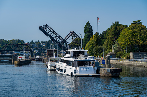 Moored fishing fleet rest on the calm water of Newport Bay