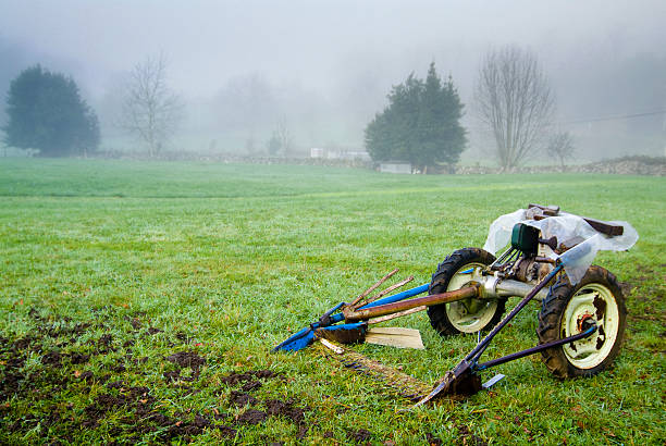 Felling of tillage, Cantabria. Spain.