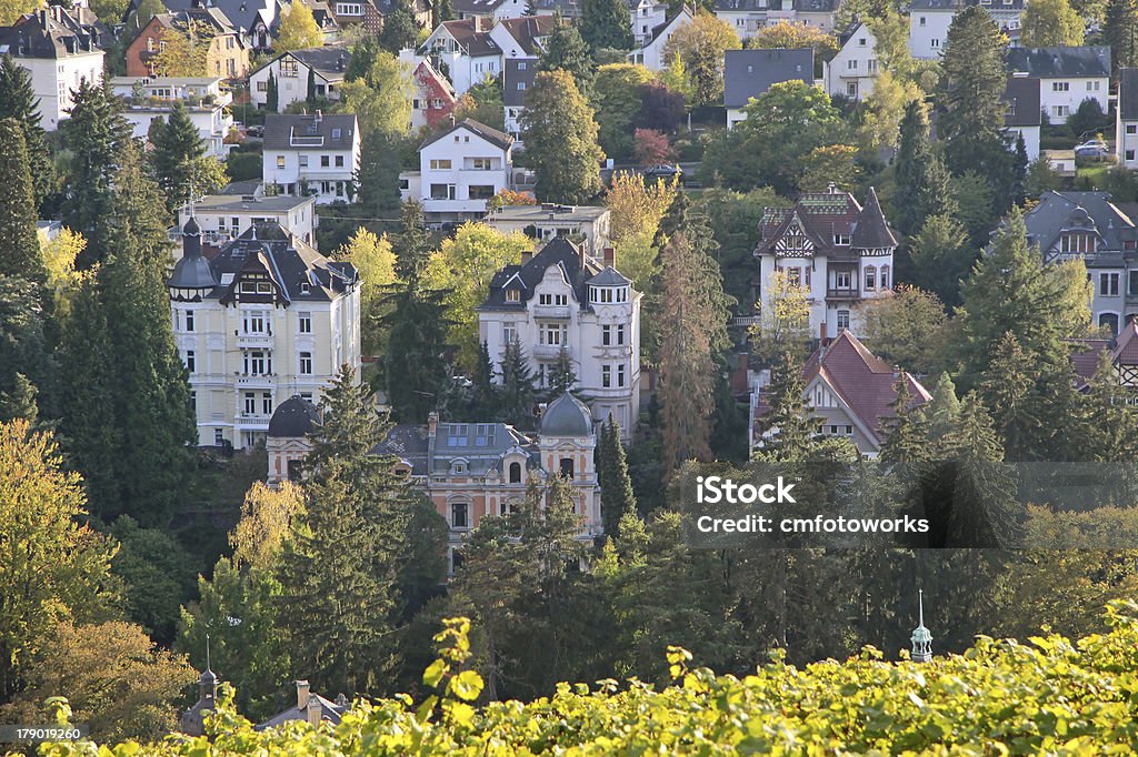 Aussicht auf Wiesbaden - Lizenzfrei Wiesbaden Stock-Foto