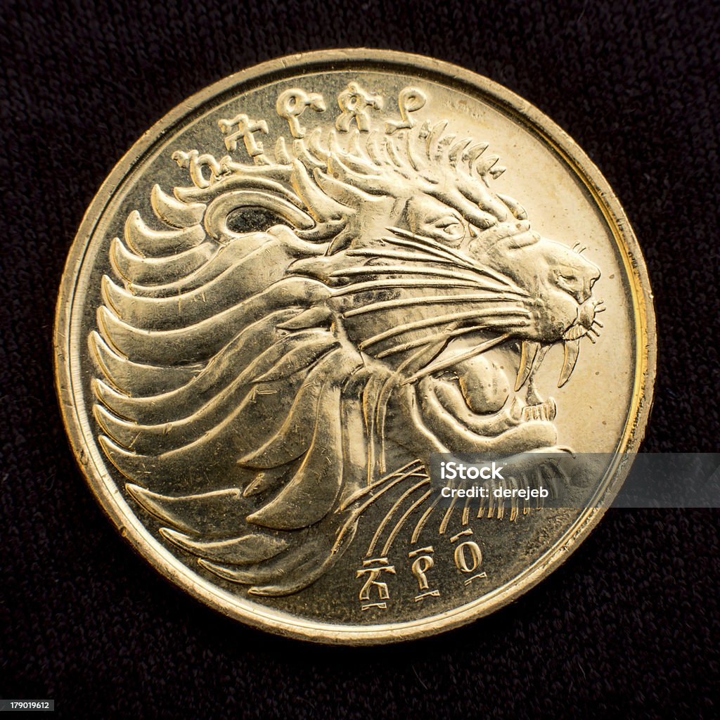 Монета голова льва. Монета с головой Льва. Монета с изображением головы Льва. Монета с рычащим львом. Монета с мордой Льва.