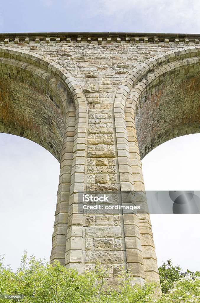一柱の Cefn 高架橋 - イギリスのロイヤリティフリーストックフォト