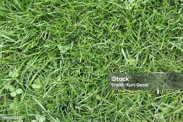 Fresh Green Gras Stockfoto und mehr Bilder von Ansicht aus erhöhter Perspektive - Ansicht aus erhöhter Perspektive, Bildhintergrund, Draufsicht