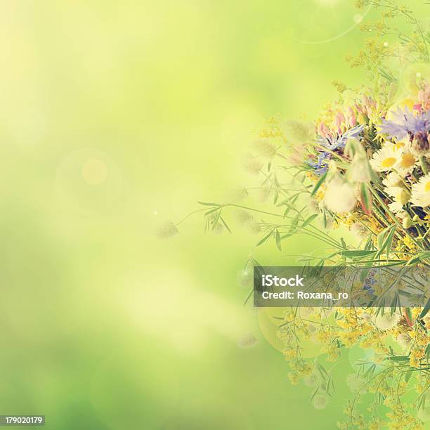 Vintage Summer Flowers Stock Photo - Download Image Now - Abstract, Anniversary, Backgrounds