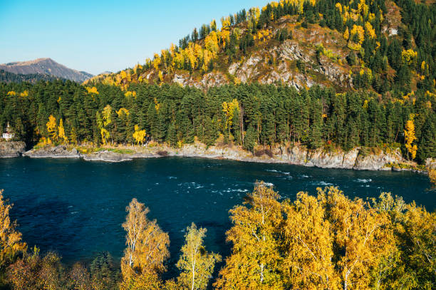 Autumn October Landscape in Altai region, Russian republic in southern Siberia, Russia, with winding blue Katun river and mountains, Aerial top view.