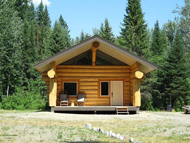 istock Little new log cabin 179021628