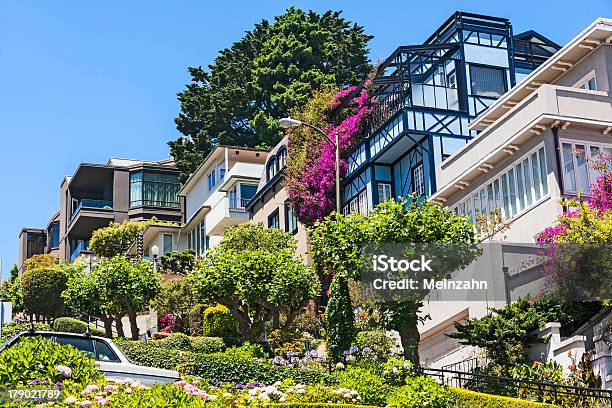 Widok Lombard Street - zdjęcia stockowe i więcej obrazów Architektura - Architektura, Drzewo, Fotografika