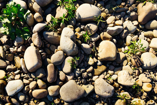 Free Stock Photo of A group of rocks on the ground | Download Free ...