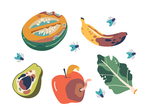 Spoiled Fruits And Vegetables. Pumpkin, Banana, Avocado, Apple and Greens, Emit A Pungent Stench, Their Withered Forms Covered In Mold And Bruises with Flies around. Cartoon Vector Illustration