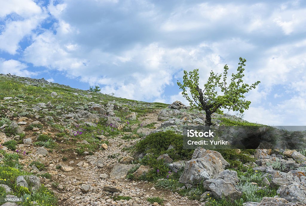 Frühling in der Krim mountains auf einer Höhe von über 1000 Metern. - Lizenzfrei Anhöhe Stock-Foto