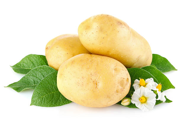 istock potatoes with leaves and flower 179022510