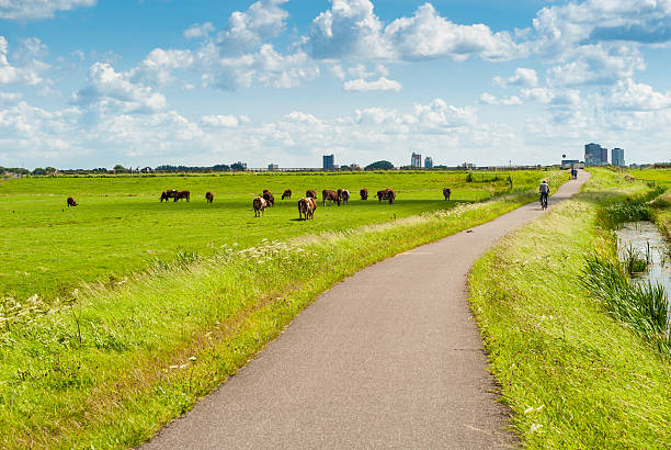 istock Dutch landscape with bicyclists 179022725