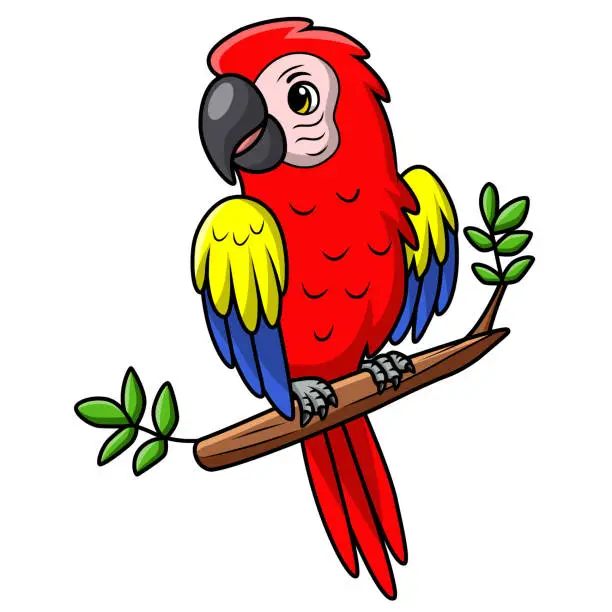 Vector illustration of Cute macaw bird cartoon on white background