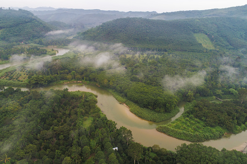 Aerial view canal river in tropical rainforest with morning fog nature landscape