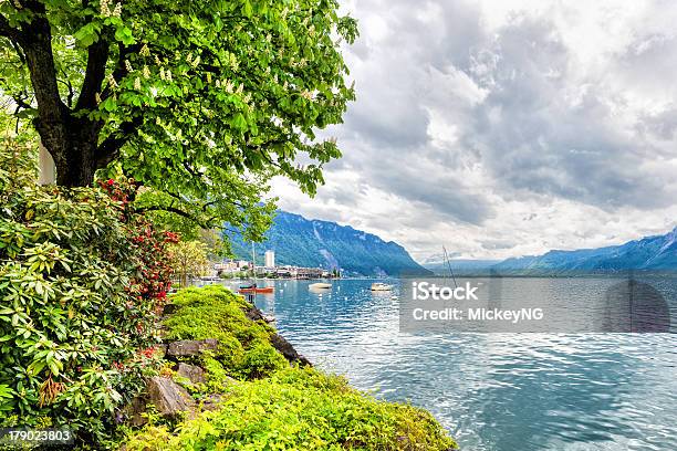 Flowers And Trees Near Lake Montreux Switzerland Stock Photo - Download Image Now - Cloudscape, European Alps, Geneva - Switzerland