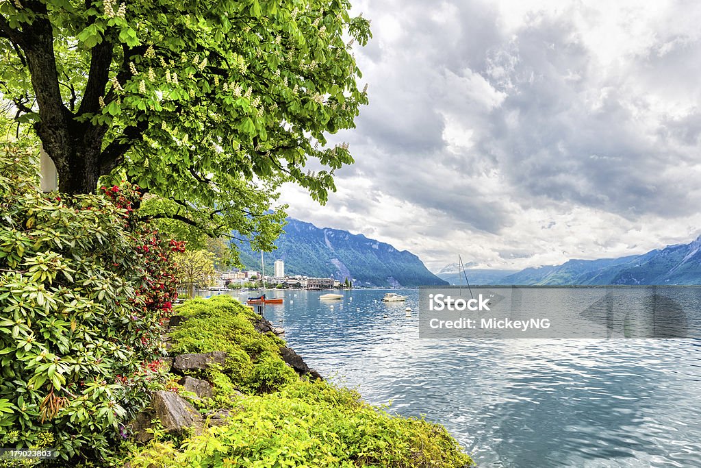 As flores e as árvores perto do lago, Montreux. Suíça - Foto de stock de Alpes europeus royalty-free