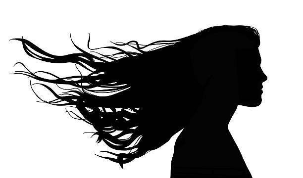 woman with long hair in the wind profile of a young beautiful woman with long hair waving in the wind wind silhouettes stock illustrations