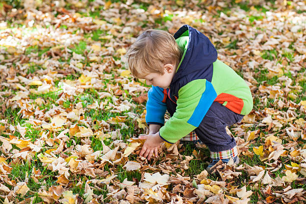 istock Little toddler boy having fun in autumn park 179024134
